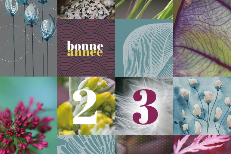 voeux 2023 – vue11